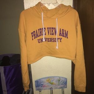 PVAMU Cropped Hoodie